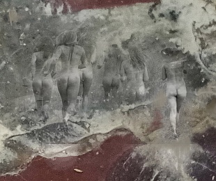 Картина амазонки