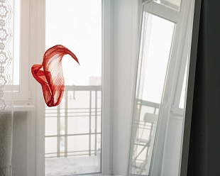 Картина без названия