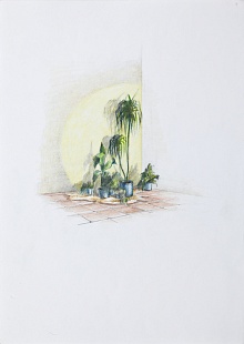 Картина без названия 5