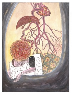 Картина анатомические стихи 2