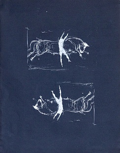 Картина espectácul o taurino de recortadores