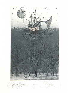 Картина flight to Nowhere