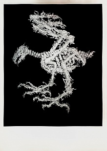 Картина подопытные животные  из инсталляции Генетическая гимнастика 2