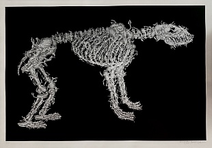 Картина подопытные животные из инсталляции Генетическая гимнастика 2