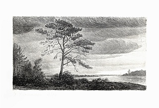 Картина без названия