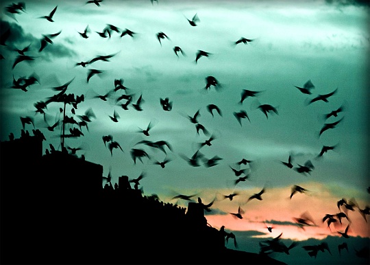 Картина тревожно фото 1