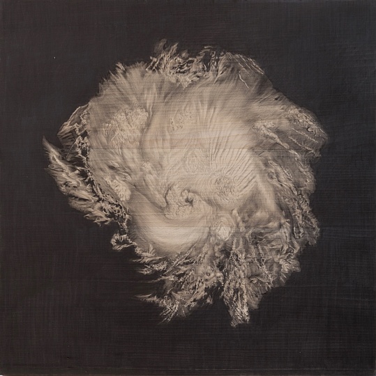 Картина чарли фото 2