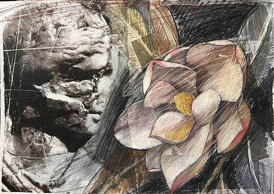 Картина из серии «Магнолия в саду  Гроттаферрата» - I фото 1