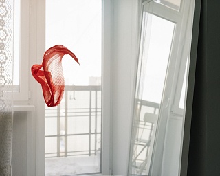 Картина без названия