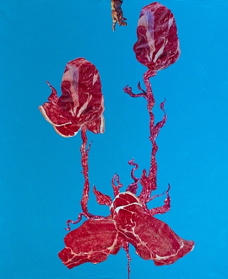Картина meat flowers 