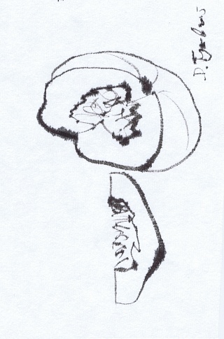 Картина из серии "Pumkin"