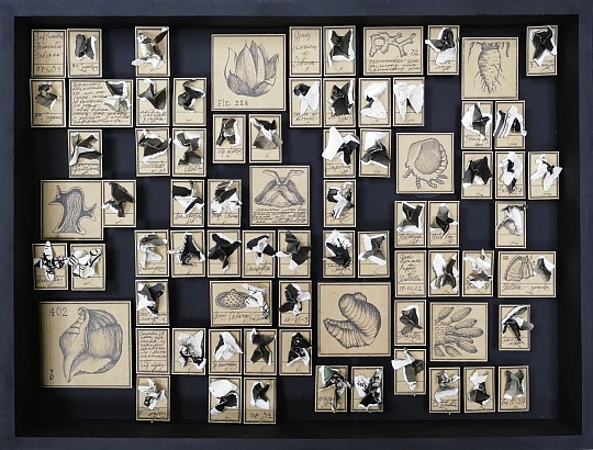 Картина коробка из проекта «Музей чепухи» фото 1