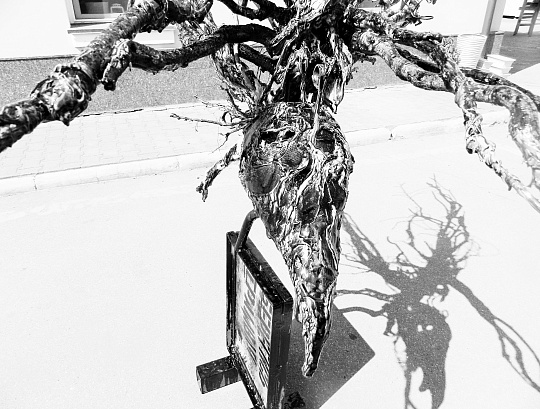 Картина ворона фото 4