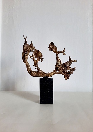 Картина протуберанец. Опус №11