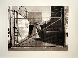 Картина horse. Из серии Аналогии