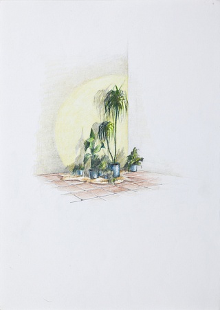 Картина без названия 5