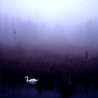 Картина одиночество