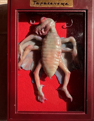 Картина тараканище