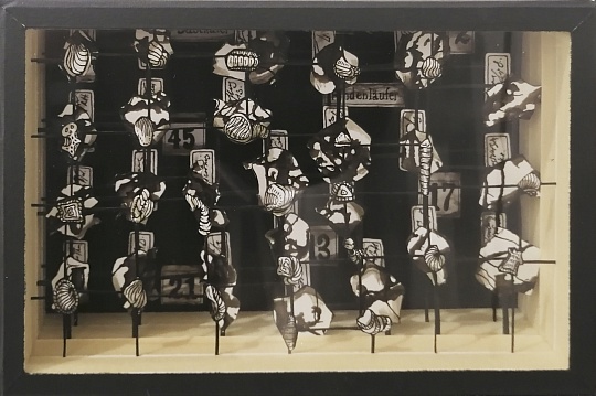 Картина коробочка “Энтомологическая коллекция № 40”  из серии “Страсти по Линнею” фото 1