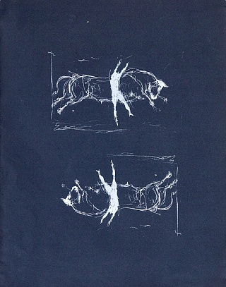 Картина espectácul o taurino de recortadores