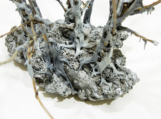 Картина алый цветок фото 2