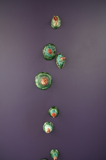 Картина инсталляция из 35 объектов «Про пасть»  фото 2