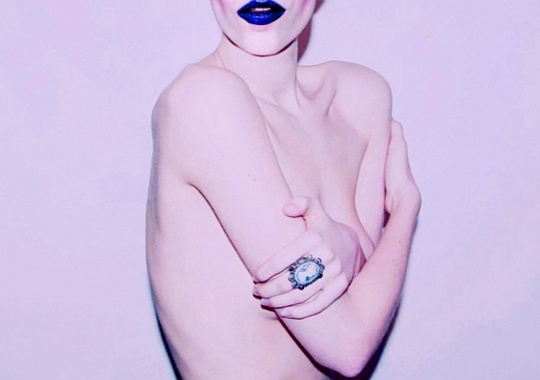 Картина черника фото 1