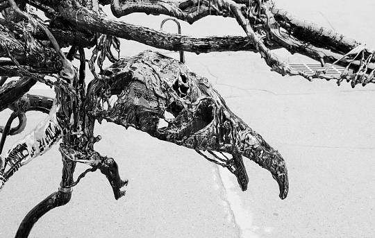 Картина ворона фото 3