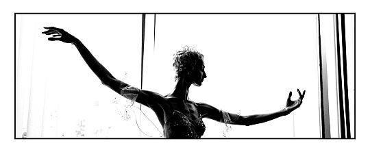 Картина крылья. Имперский Русский Балет фото 2