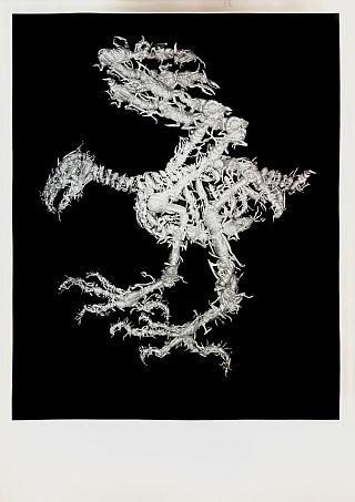 Картина подопытные животные  из инсталляции Генетическая гимнастика 2