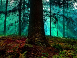 Картина лучи