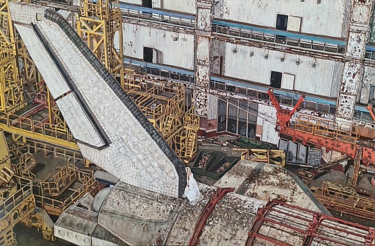 Картина bride’s flight фото 1