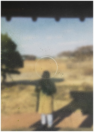 Картина вид из беседки