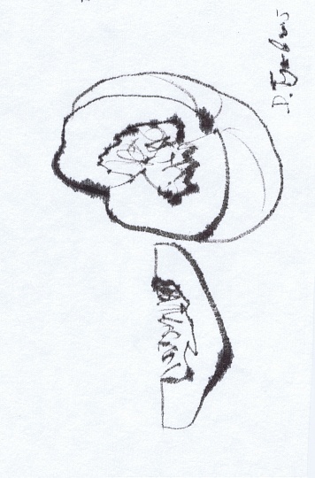 Картина из серии 