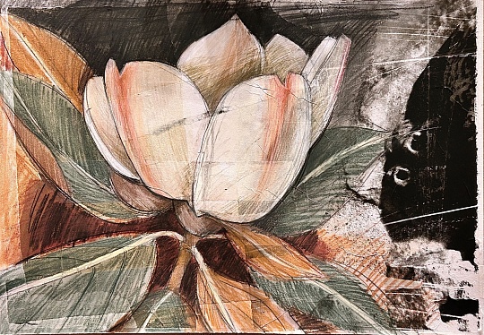 Картина  Из серии «Магнолия в саду  Гроттаферрата» - II фото 1