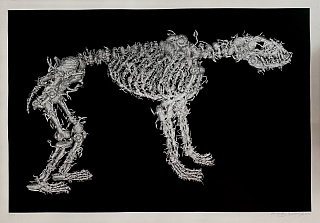Картина подопытные животные из инсталляции Генетическая гимнастика 2