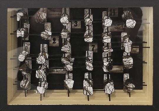 Картина коробочка “Энтомологическая коллекция № 38”  из серии “Страсти по Линнею” фото 1