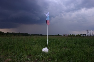 Картина настя Кузьмина. Проект "Опытное поле"