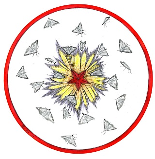 Картина звезда и огневки (из серии XVII)