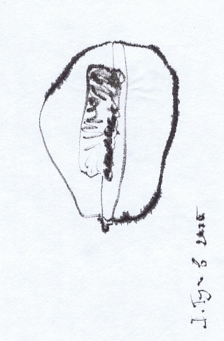 Картина из серии "Pumkin"