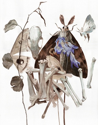 Картина мотыльки